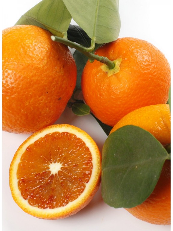 Апельсин клубничный "Фрагола" (C. sinensis "Fragola")