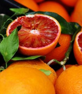Citrus sinensis cv. Moro Кровавый апельсин