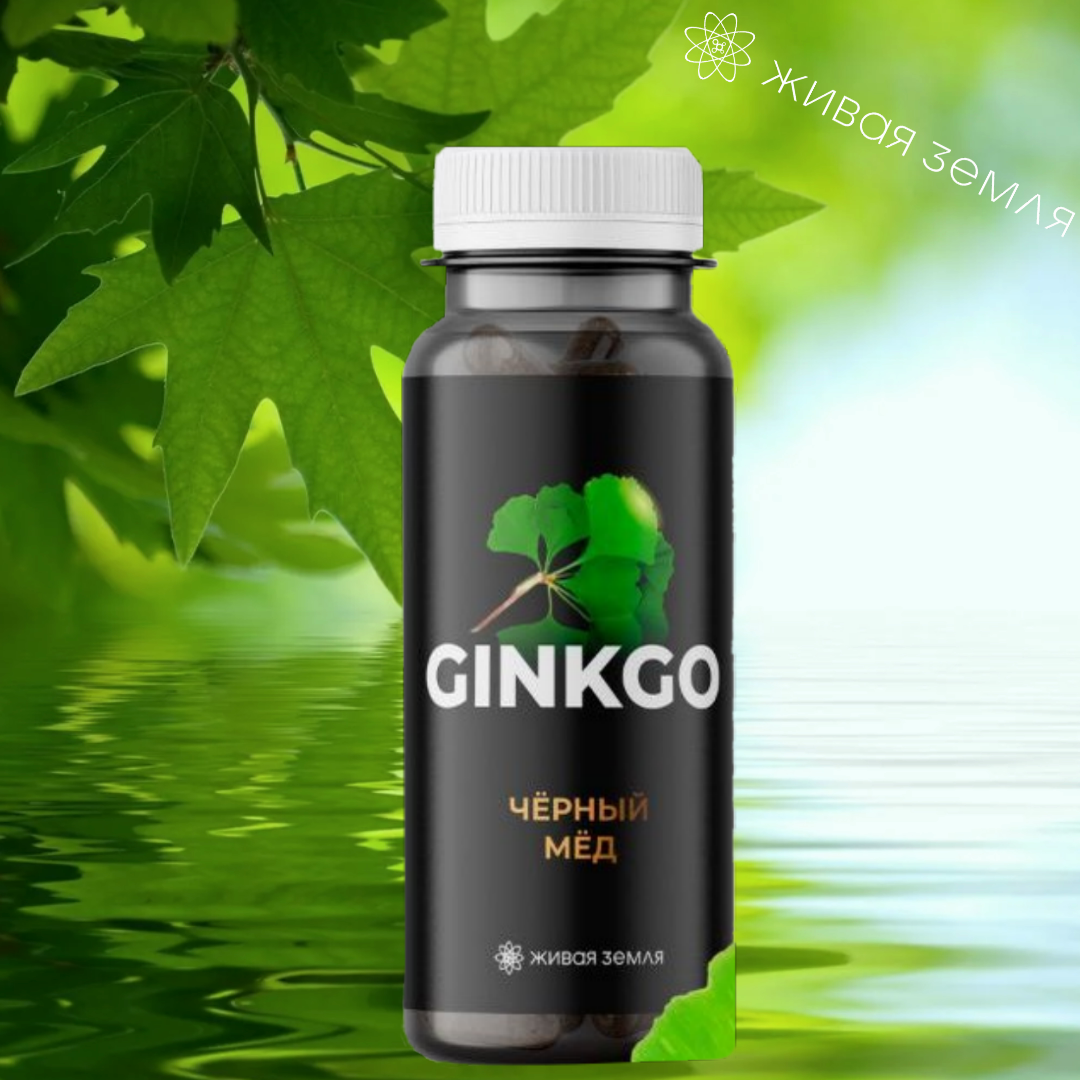ФГК «Чёрный мёд» Ginkgo, 70 капсул